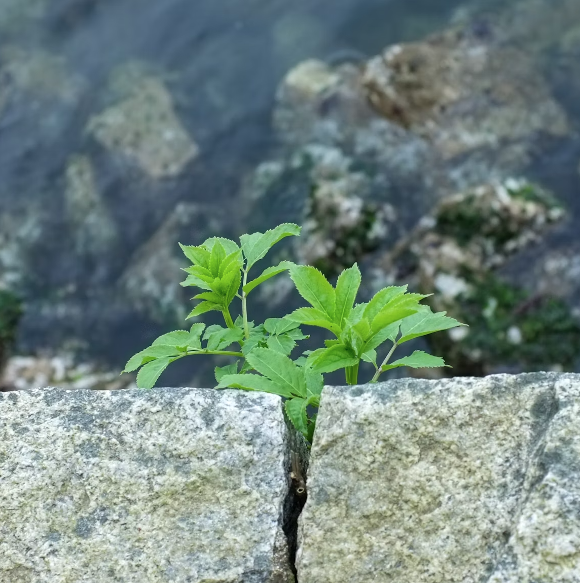 Screenshot 2025-08-25 at 4.04.50 PM